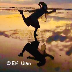 Elf Ulan avatar