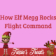 Elf Megg Rocks Flight Command