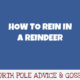 How to Rein in a Reindeer