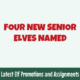Senior Elves