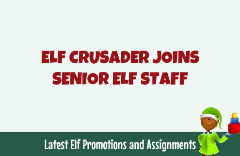 Elf Crusader