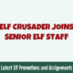 Elf Crusader