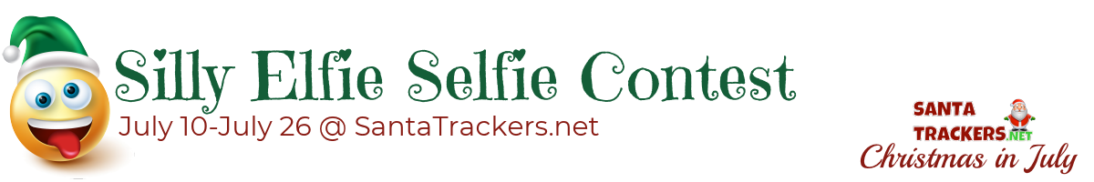 Silly Elfie Selfie Contest