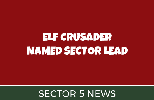 Elf Crusader