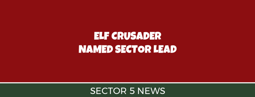 Elf Crusader
