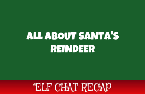 Reindeer
