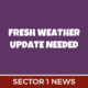 Weather