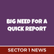 Quick Report