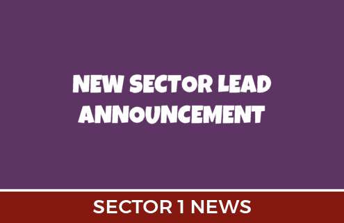 New Sector Lead